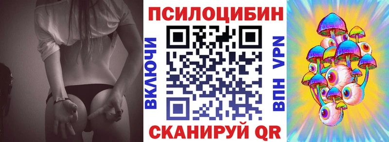 Галлюциногенные грибы Psilocybe Комсомольск