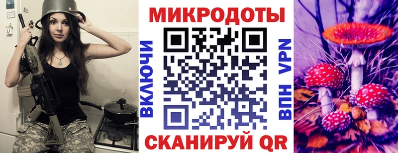 Купить закладки  Комсомольск  Псилоцибиновые грибы мицелий 