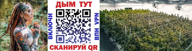 Купить где  Комсомольск  Бошки марихуана семена 
